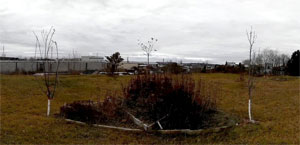 Backyard in 3D