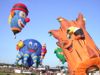 Hot Air Balloons