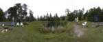 Camp pan 12