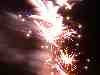 Photo Number 4