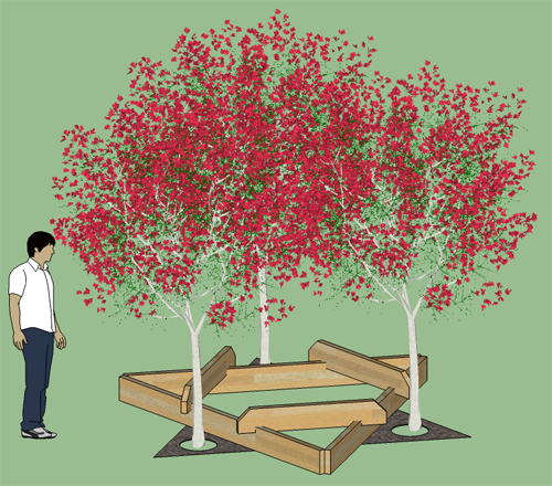 raised bed