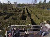 Saunders Farm 4