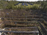 Saunders Farm 5