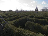 Saunders Farm 6