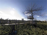 Saunders Farm 14